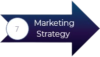marketing strategy